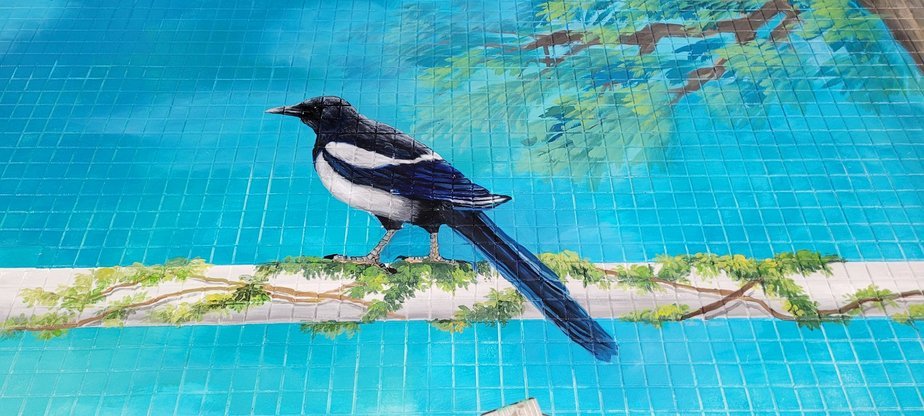 秀峰高中作品彩繪牆
